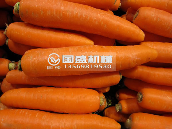 國盛胡蘿卜脫水?dāng)D壓機 國盛胡蘿卜脫水?dāng)D壓機